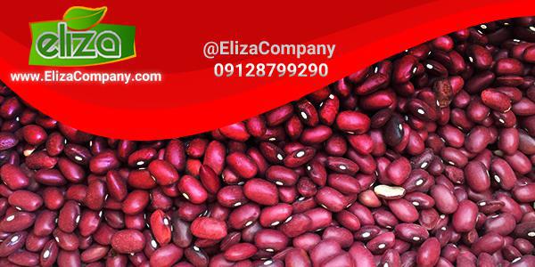فروش لوبیا قرمز - مرجع عرضه حبوبات ایرانی و خارجی | حبوبات الیزا