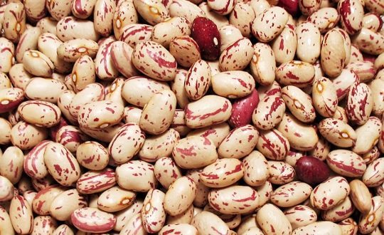 خریداری لوبیا چیتی ایرانی از مرکز تولید - مرجع عرضه حبوبات ایرانی و خارجی | حبوبات  الیزا