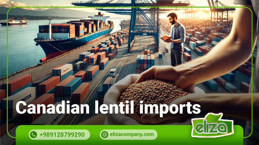 Canadian lentil imports