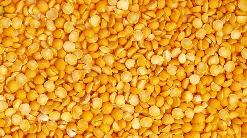 قیمت لپه آذرشهر