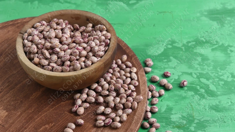 لوبیا چیتی خمین 