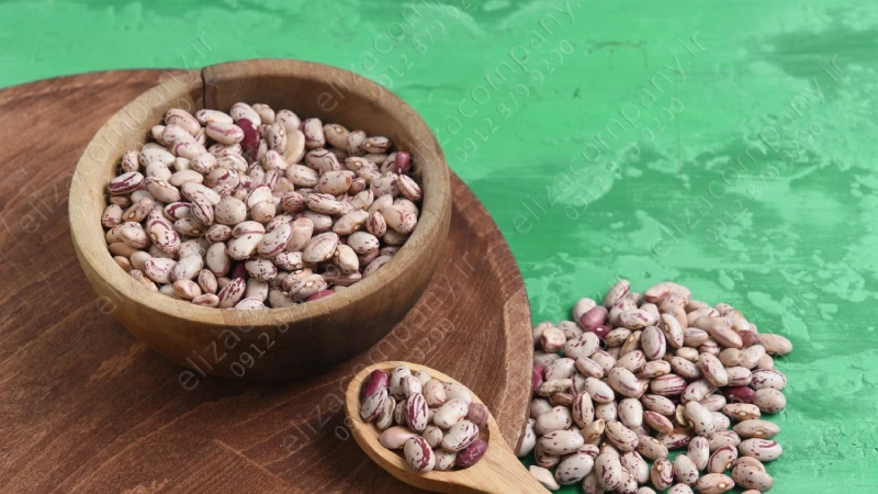 لوبیا چیتی خمین