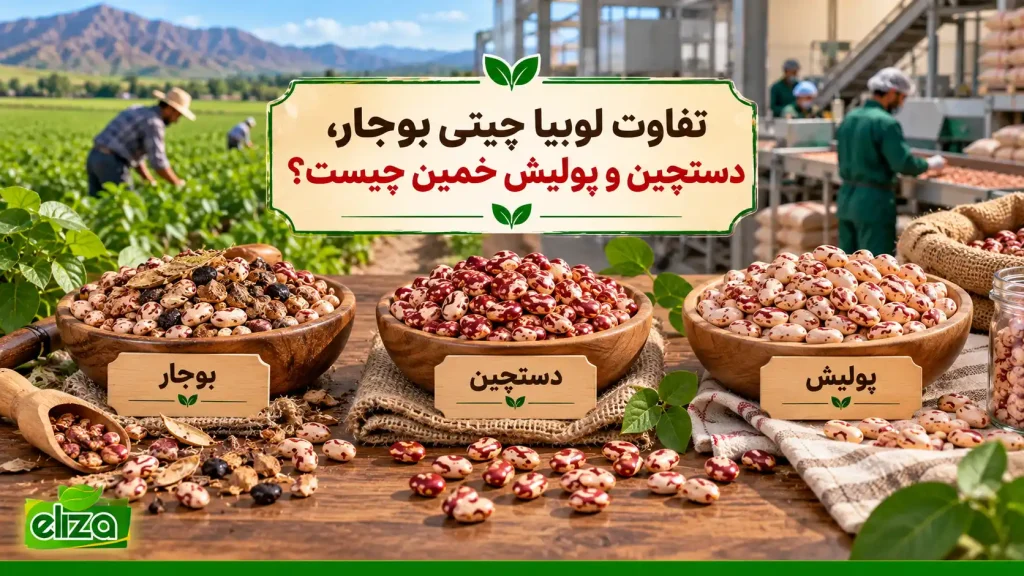 تفاوت لوبیا چیتی خمین بوجار، دستچین و پولیش