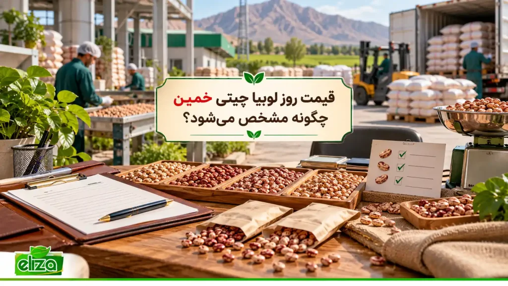 قیمت روز لوبیا چیتی خمین