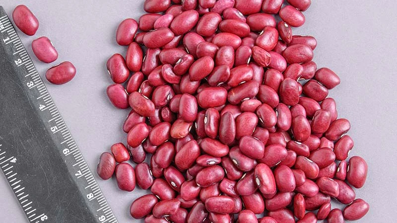 قیمت لوبیا قرمز