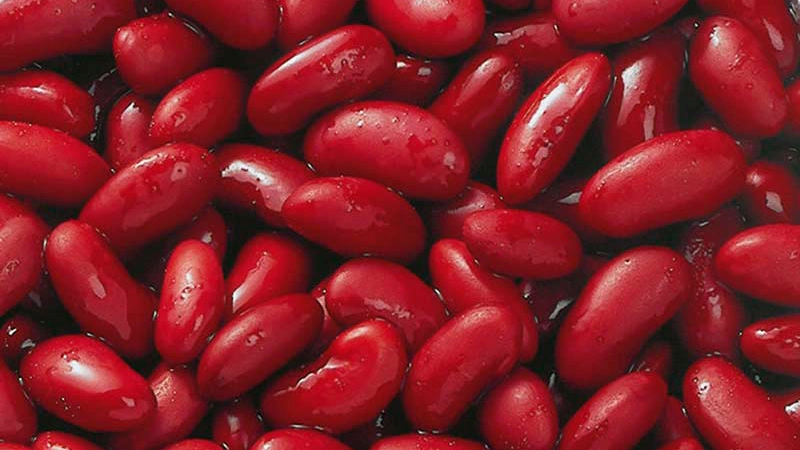 قیمت لوبیا قرمز