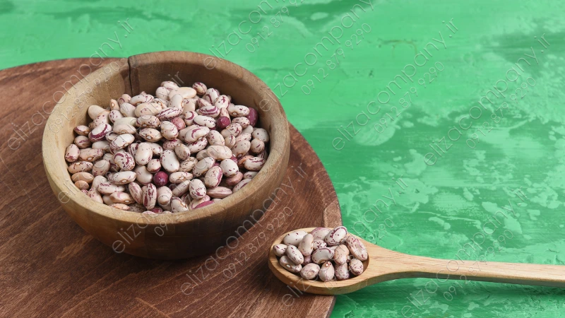 لوبیا چیتی زنجان