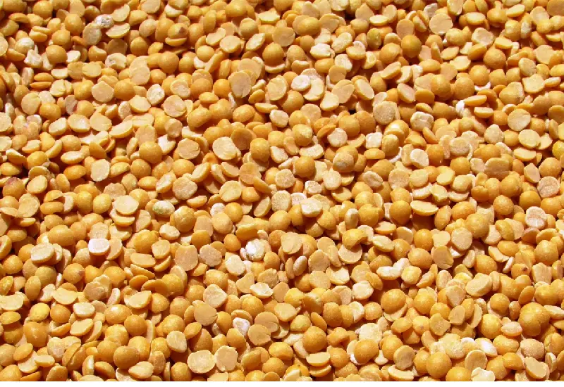 کارخانه لپه آذرشهر 