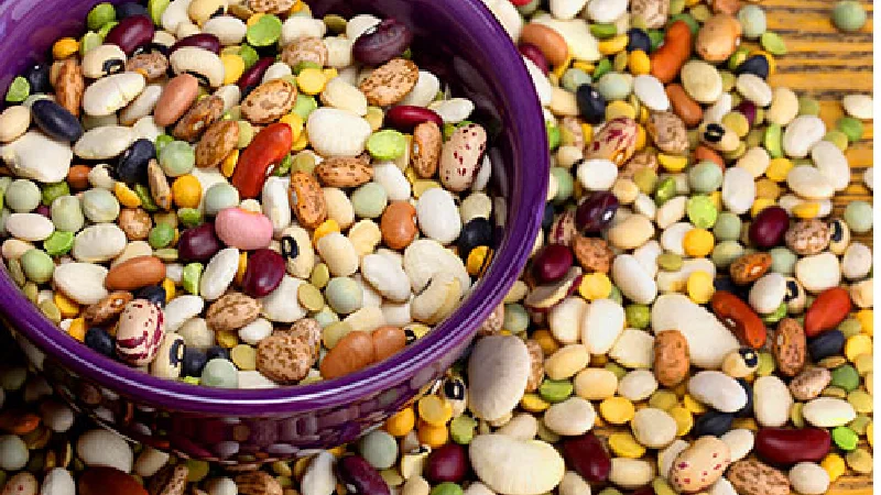 لوبیا چیتی ازنا