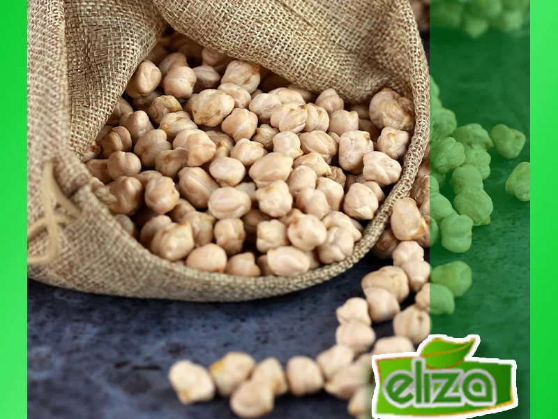 بهترین نخود