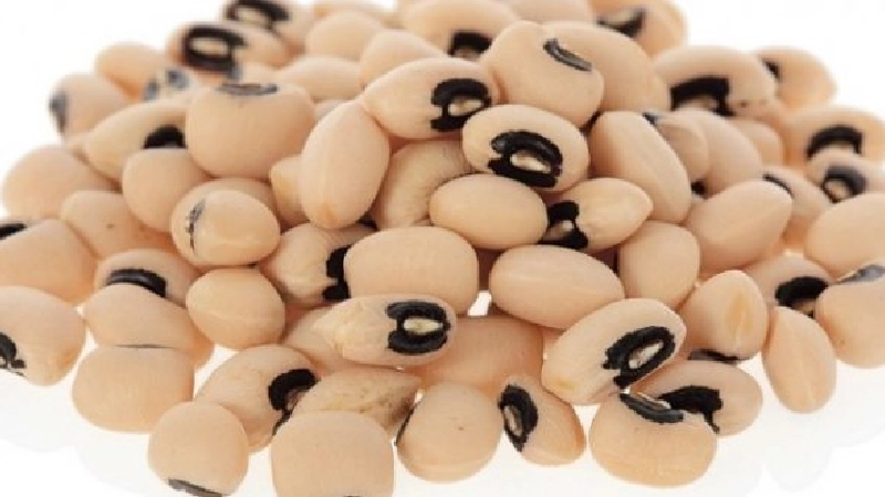 قیمت لوبیا چشم بلبلی