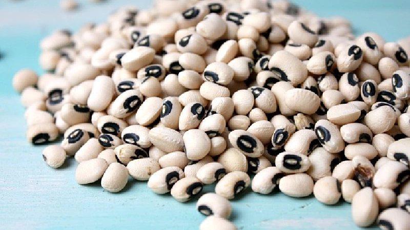 قیمت لوبیا چشم بلبلی