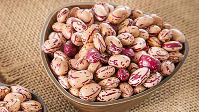 لوبیا چیتی اقلید