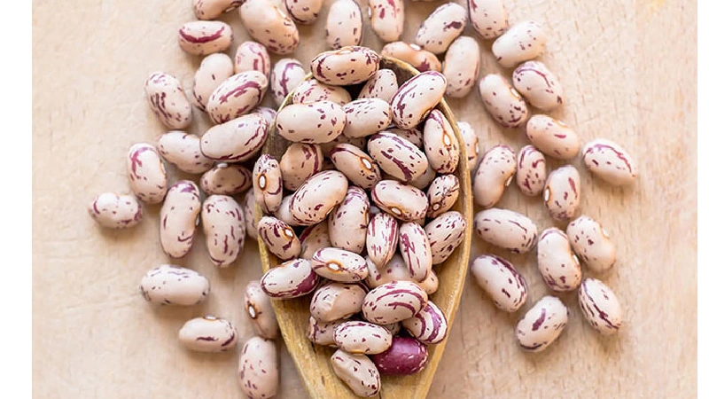 لوبیا چیتی اقلید