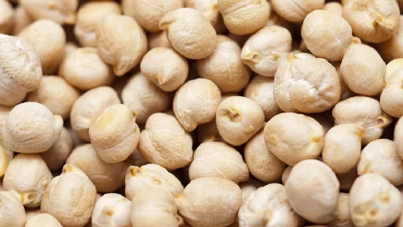 صادرات نخود کرمانشاه به افغانستان