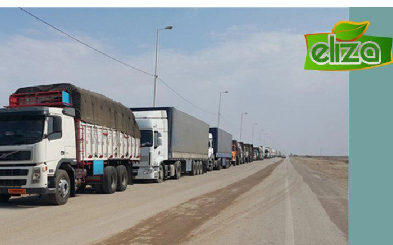 صادرات نخود به عراق