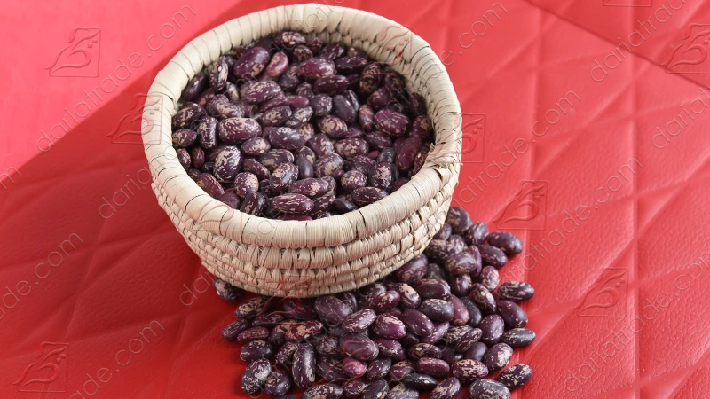 لوبیا چیتی خارجی