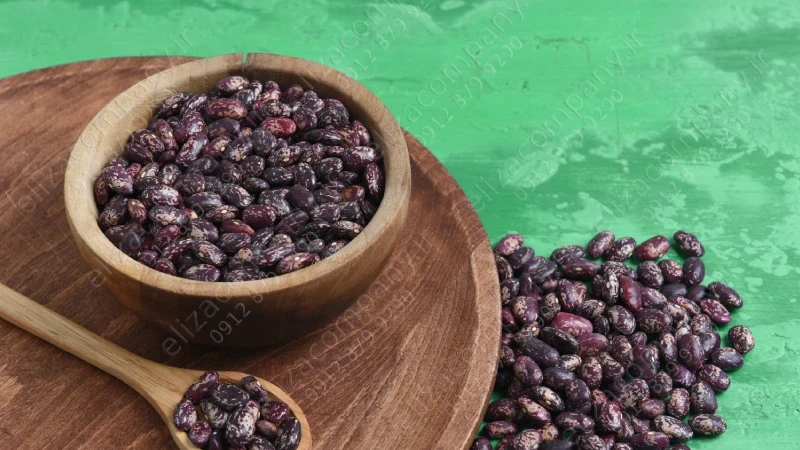 لوبیا چیتی خارجی 