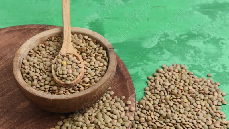 قیمت عدس کانادایی