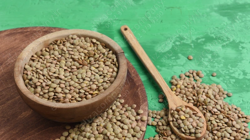 قیمت عدس کانادایی 