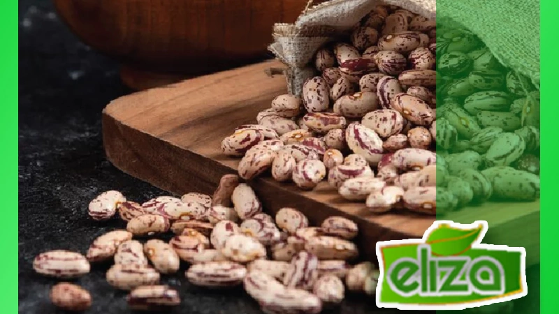 قیمت لوبیا چیتی