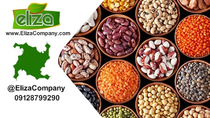 قیمت حبوبات مولوی