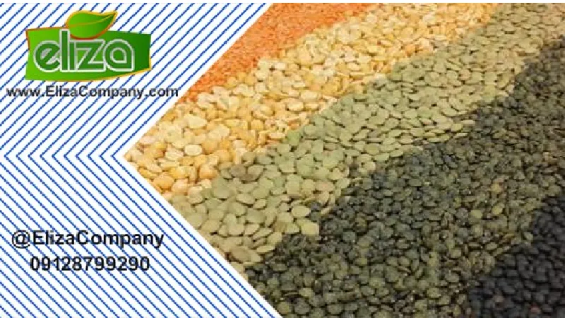 قیمت حبوبات مولوی