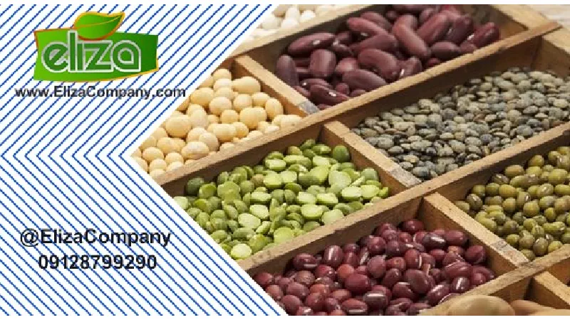 قیمت حبوبات مولوی