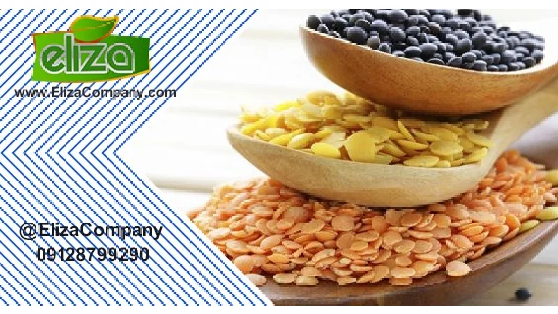 حبوبات عمده مولوی