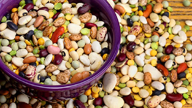 انواع لوبیا