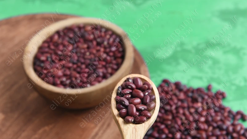 انواع لوبیا