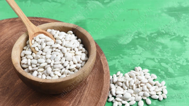 انواع لوبیا