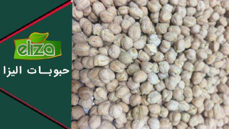 انواع نخود سفید 