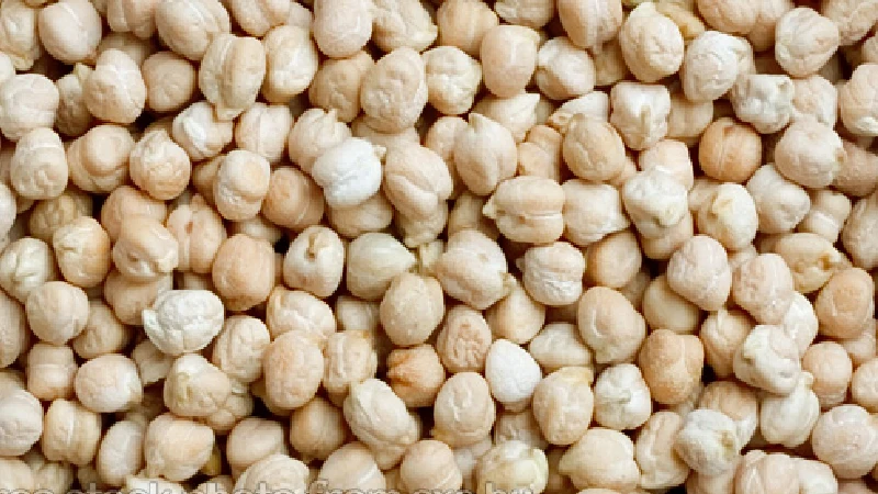 انواع نخود سفید