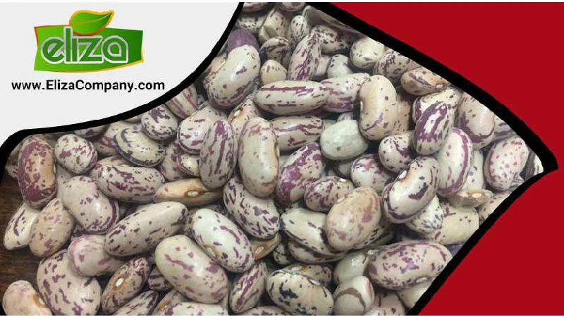 لوبیا چیتی ازبک