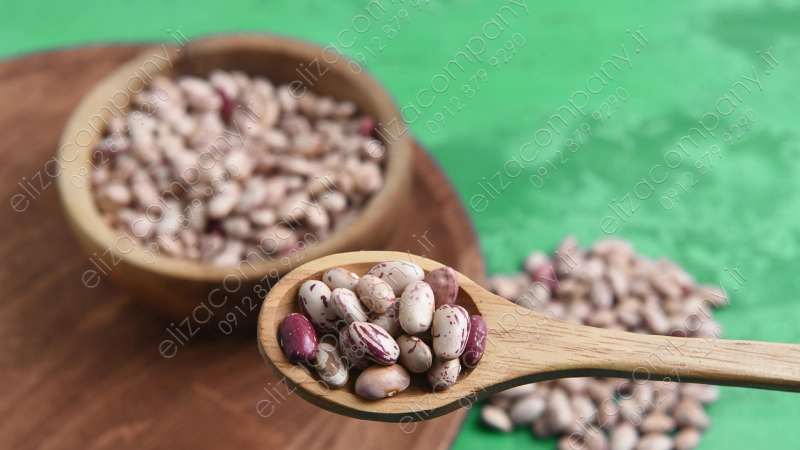 لوبیا چیتی ازبک