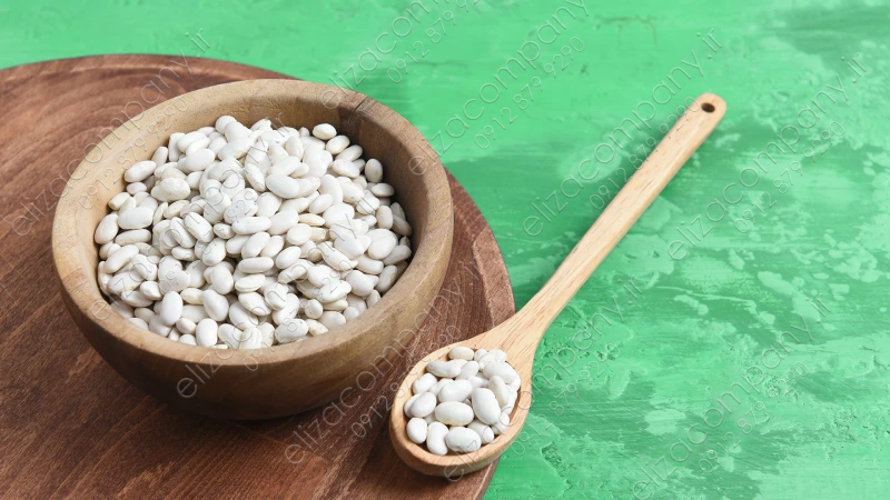 قیمت لوبیا سفید