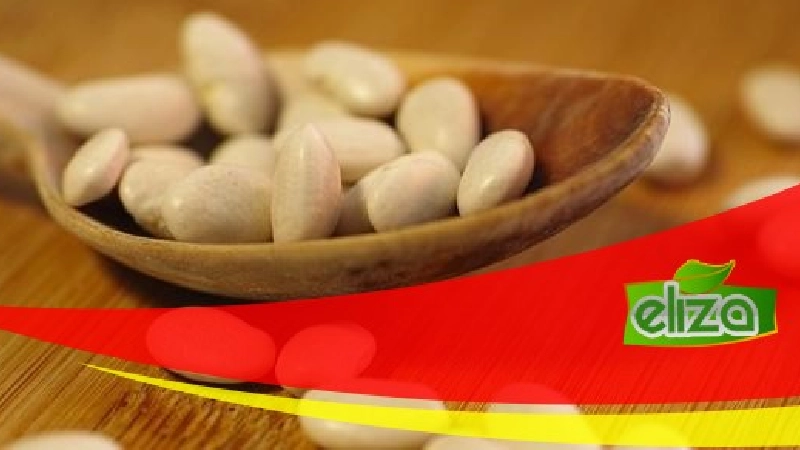 قیمت لوبیا سفید 