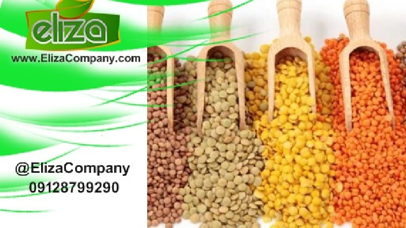 مرکز حبوبات ایران