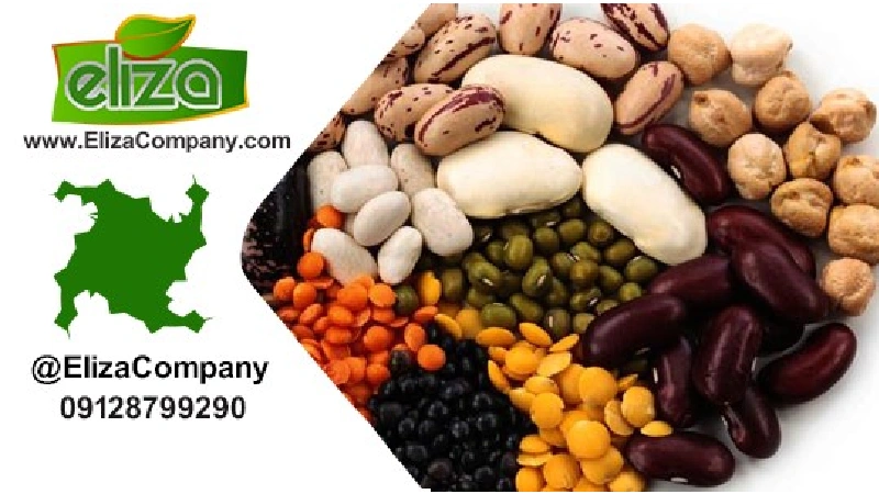 مرکز حبوبات ایران