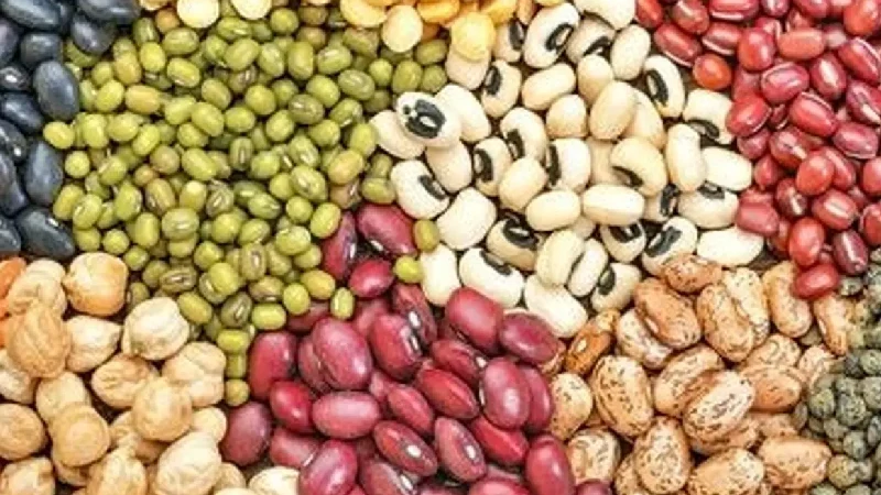 مرکز حبوبات ایران