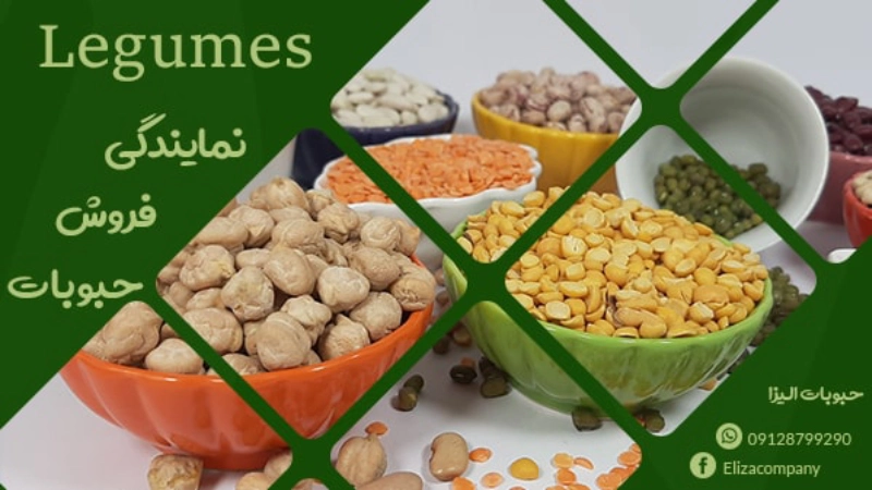 عمده فروشی حبوبات اصفهان