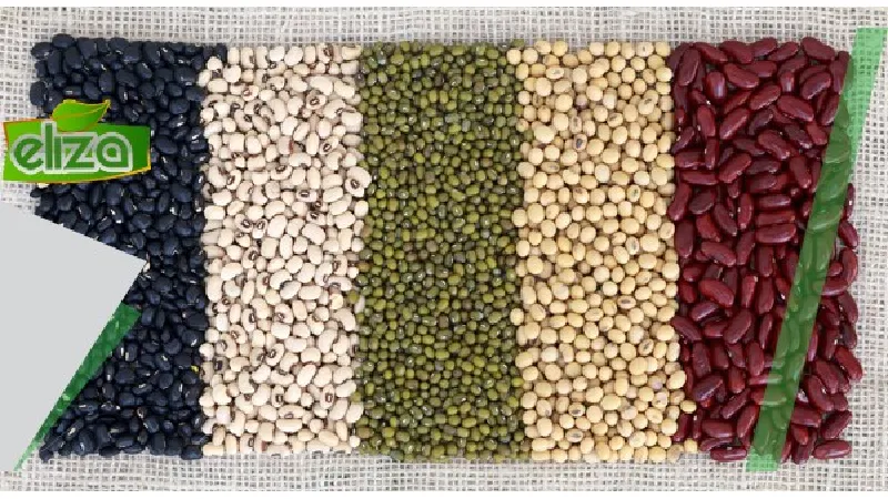 عمده فروشی حبوبات اصفهان