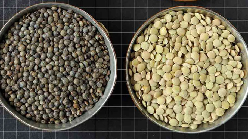 بهترین عدس ایران