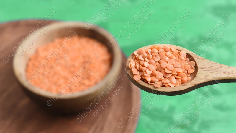 واردات عدس کانادایی